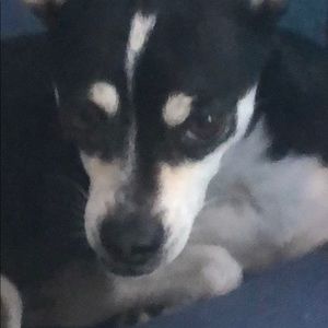 Meet your Posher, Andy